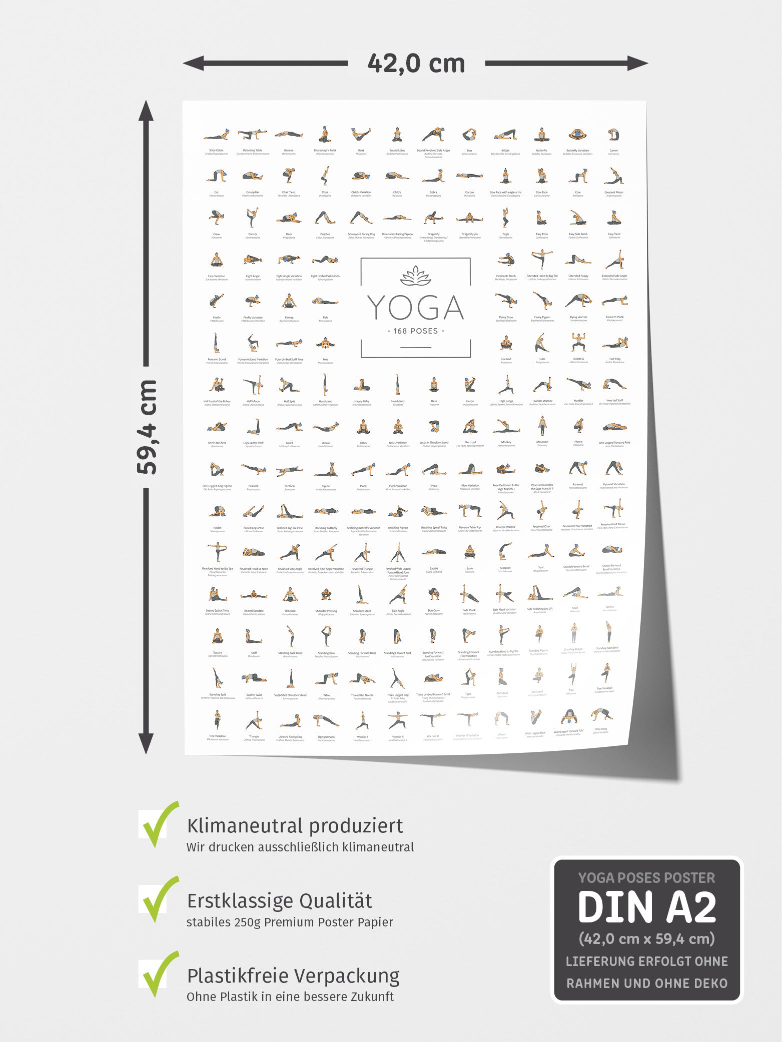 Yoga Poster 168 Posen - Englisch und Sanskrit